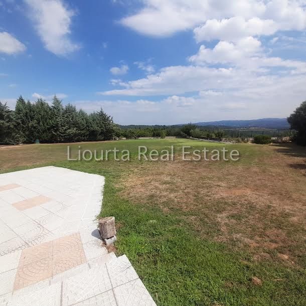 Fotografie 269672690