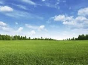 Find land for sale in Sauk | Indomio.al
