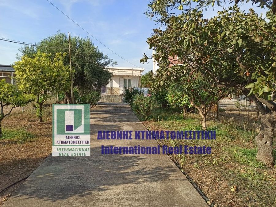 International Real Estate, Megara, Greece