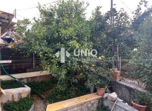 Photo 271733588