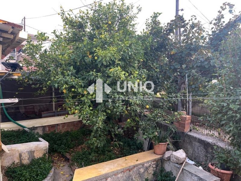 Photo 271733588