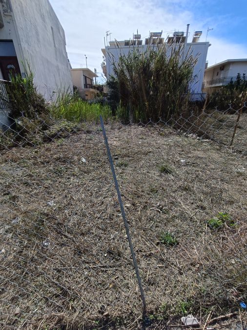 Photo 272698373