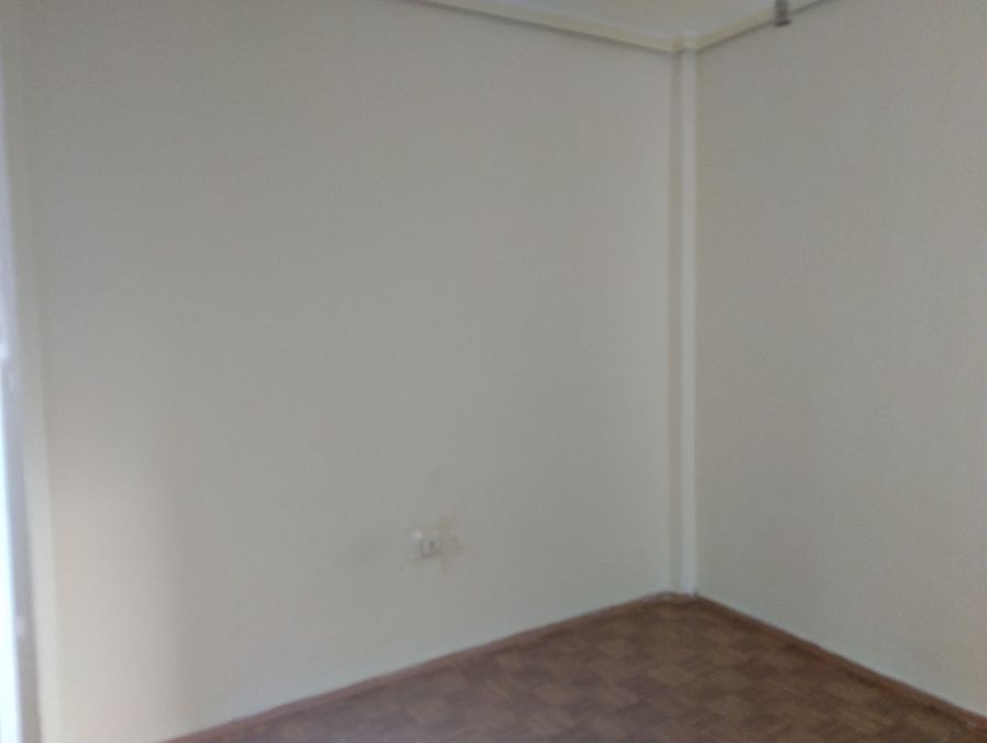 Photo 274003829