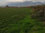 Photo 274489538