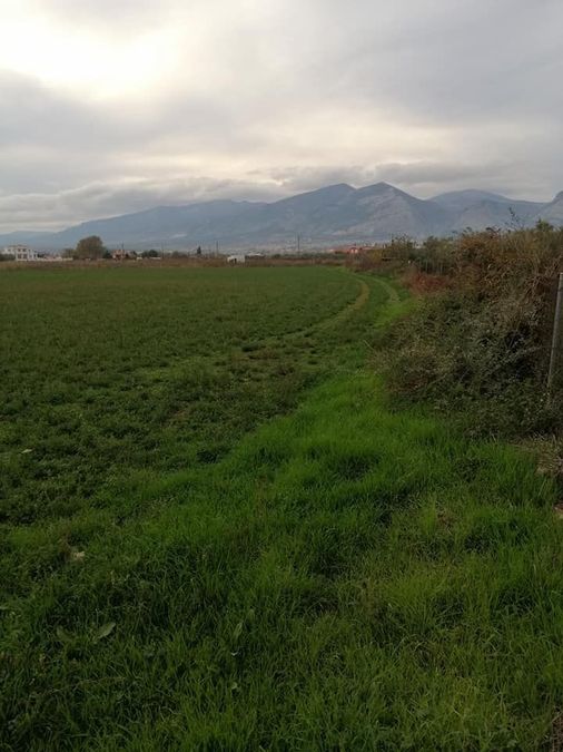 Photo 274489538