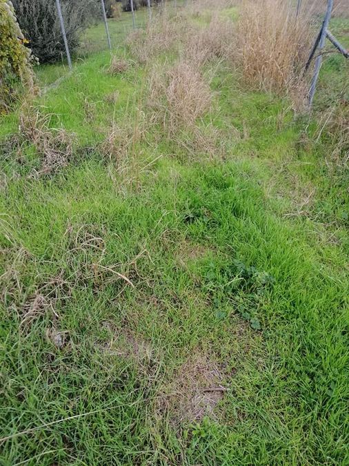 Photo 274489544