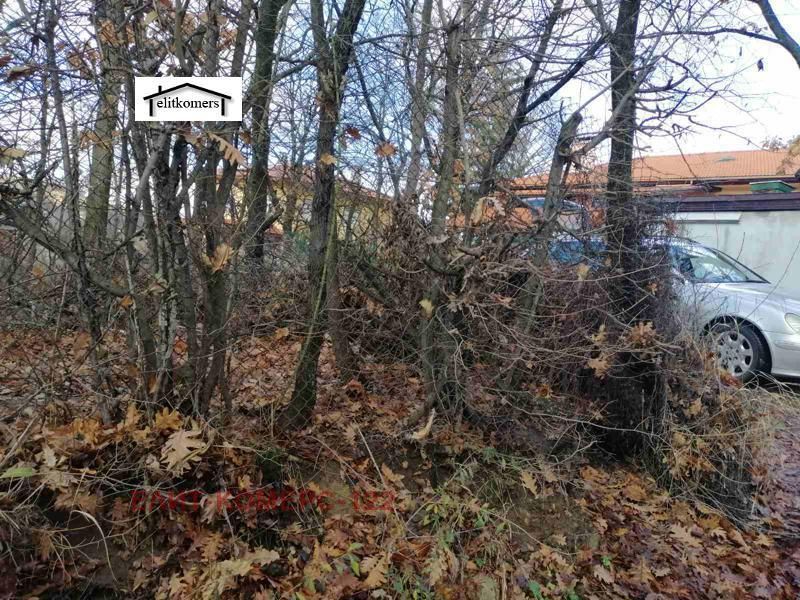 Снимка 275043755