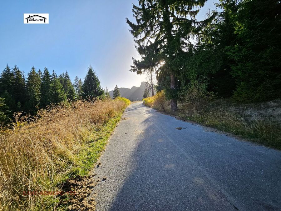 Снимка 275055248