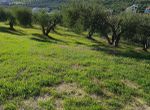 Photo 275138891