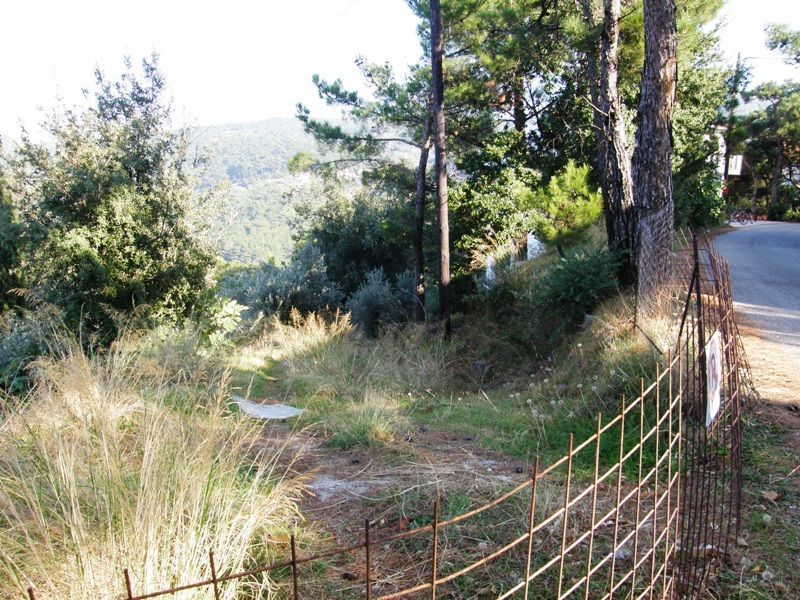 Land Plot for sale Raches (Ikaria) Land for sale