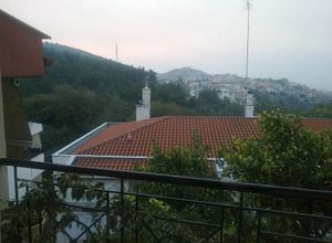 Μεζονέτα, Πεύκα