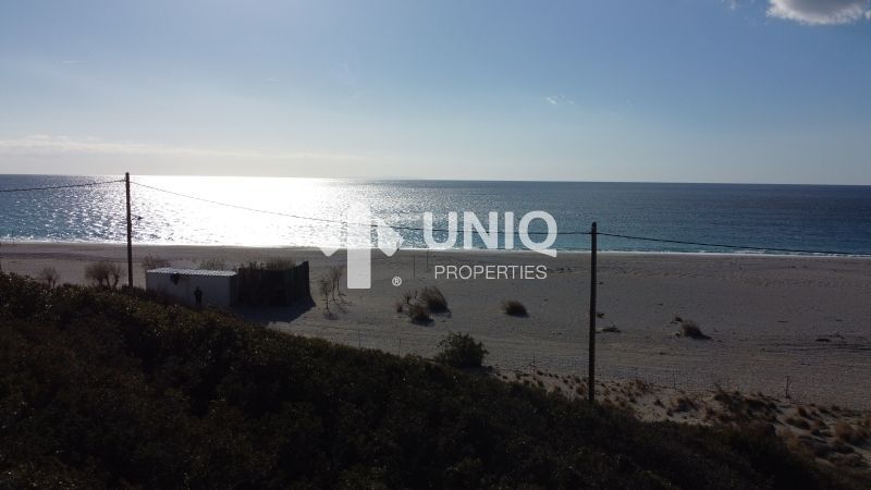 Photo 277837430