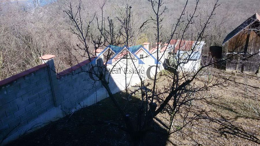 Снимка 278352740