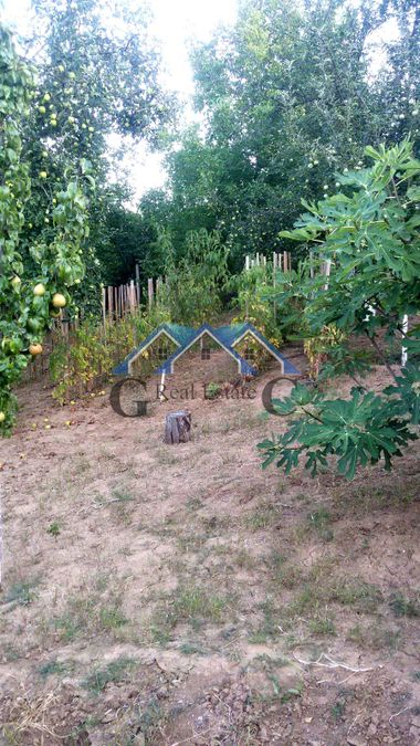 Photo 278352758