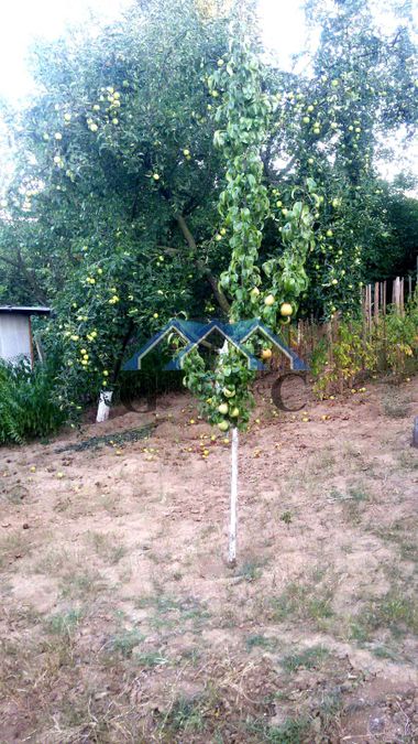 Снимка 278352761