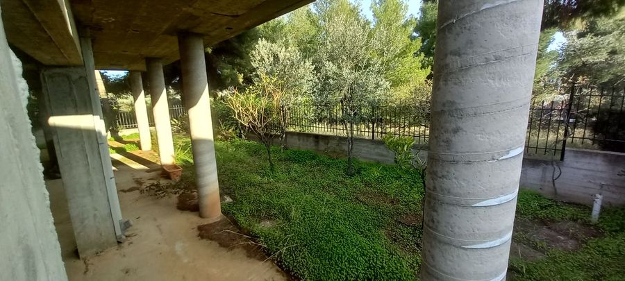 Photo 278905196