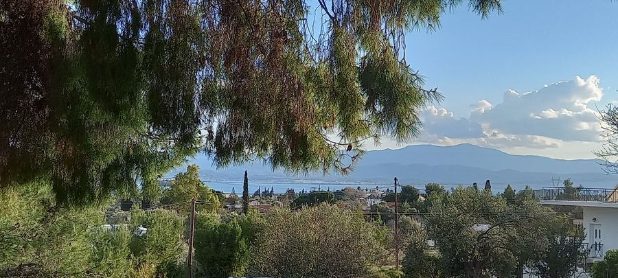 Photo 278906849