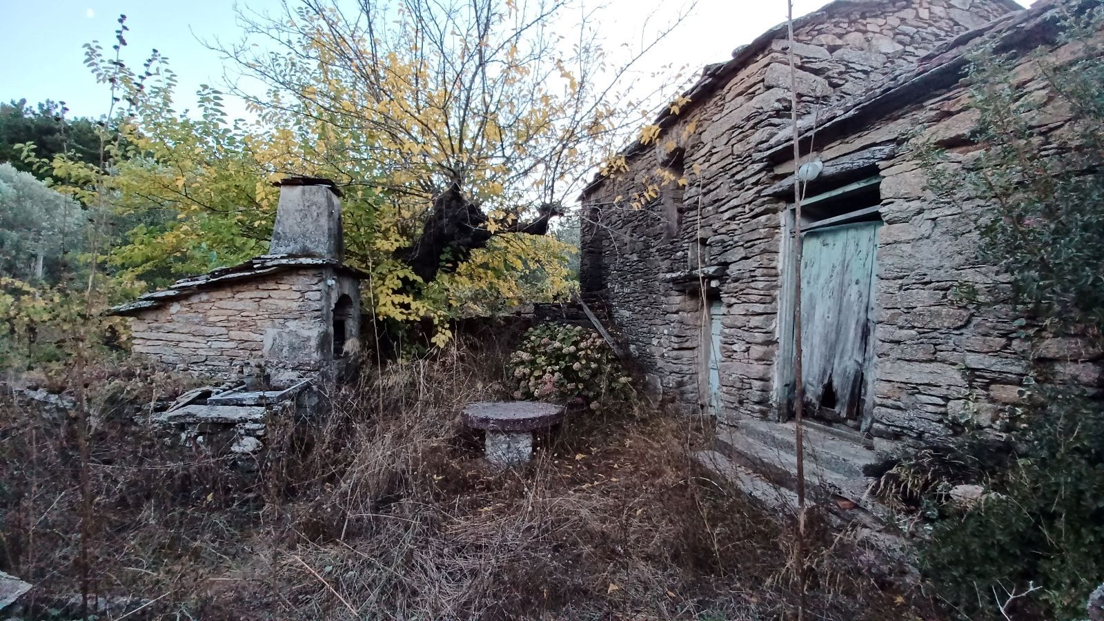 Land Plot for sale Raches (Ikaria) Traditional property for sale