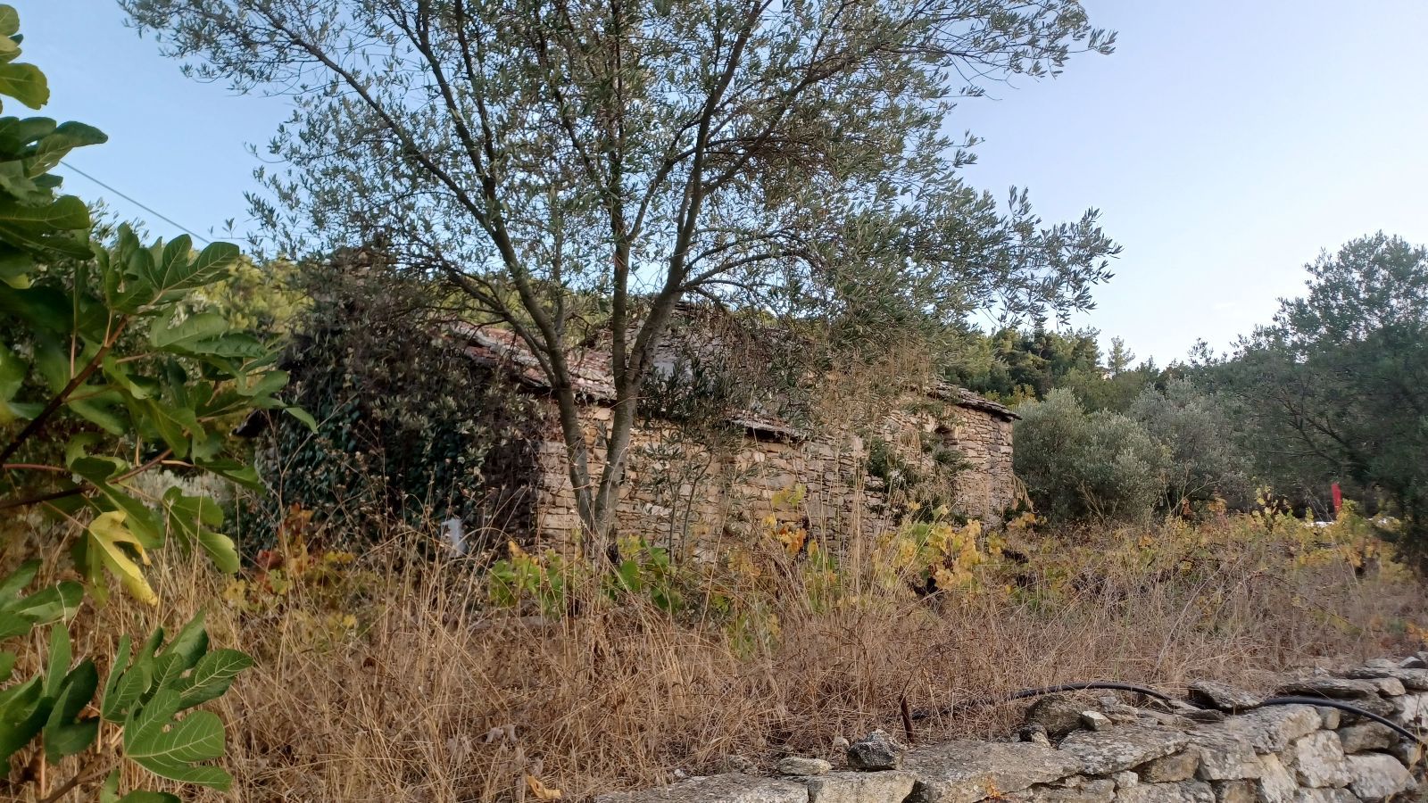 Land Plot for sale Raches (Ikaria) Traditional property for sale