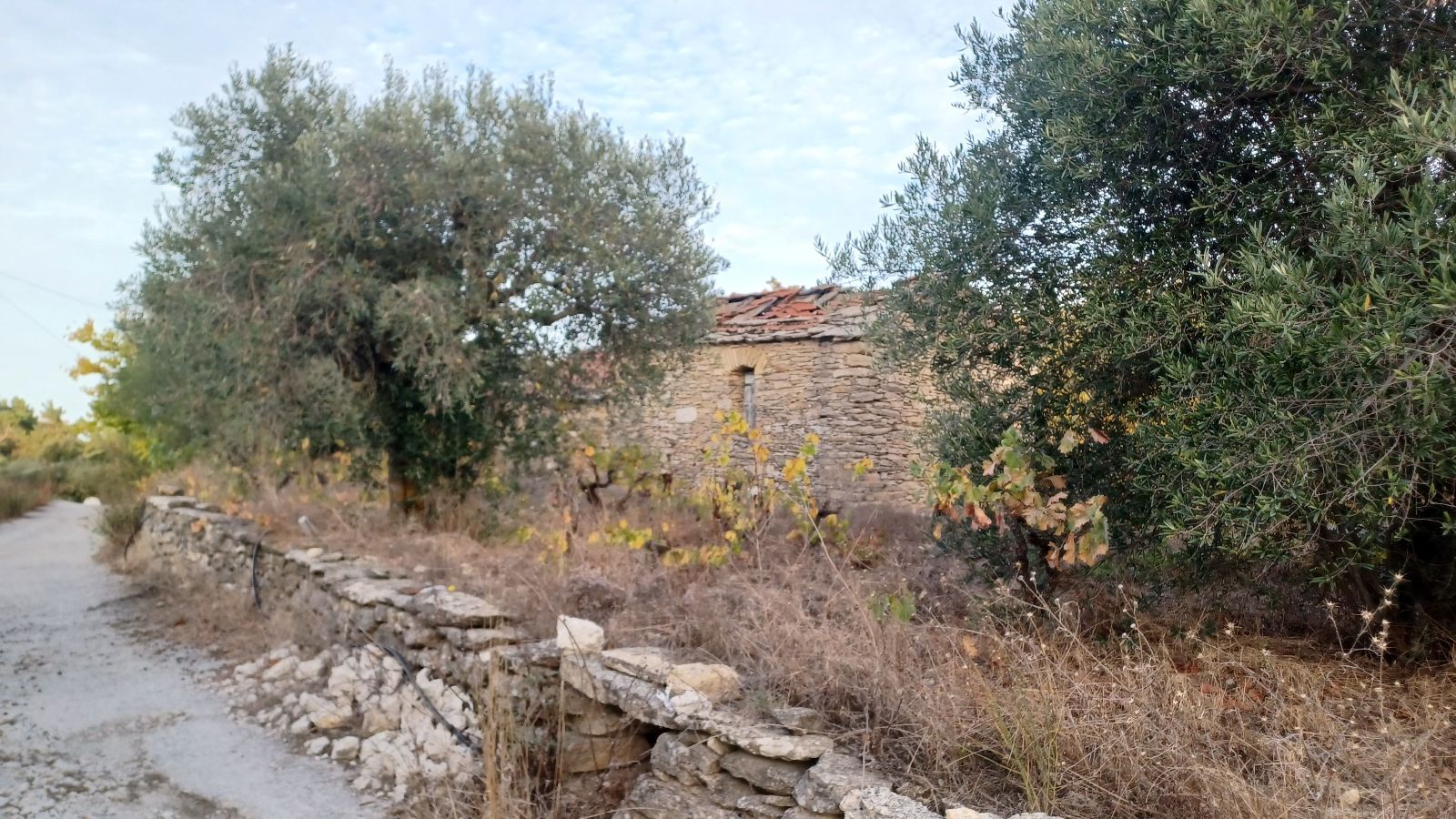 Land Plot for sale Raches (Ikaria) Traditional property for sale