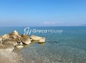 Sale, Building, 515m² Assos-Lechaio, Lechaio | 15386414 | Spitogatos