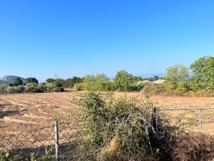 Photo 279683273
