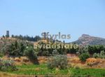 Photo 279978074