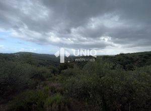 Photo 280971293