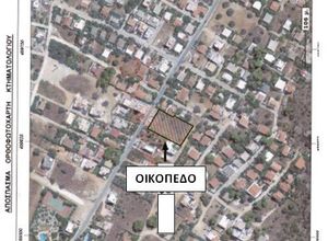 Plot Porto Rafti
