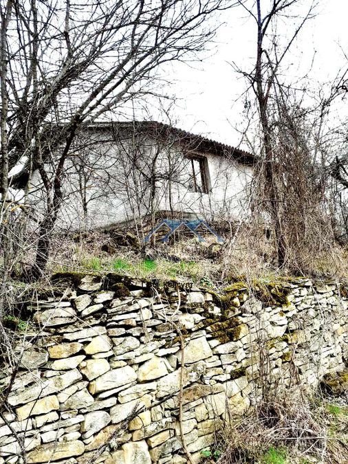 Снимка 281188784