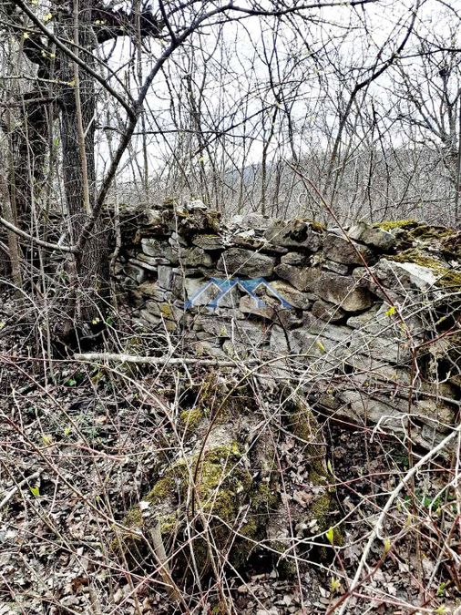 Снимка 281188787