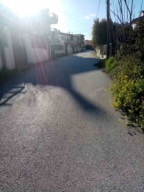 Photo 281472845