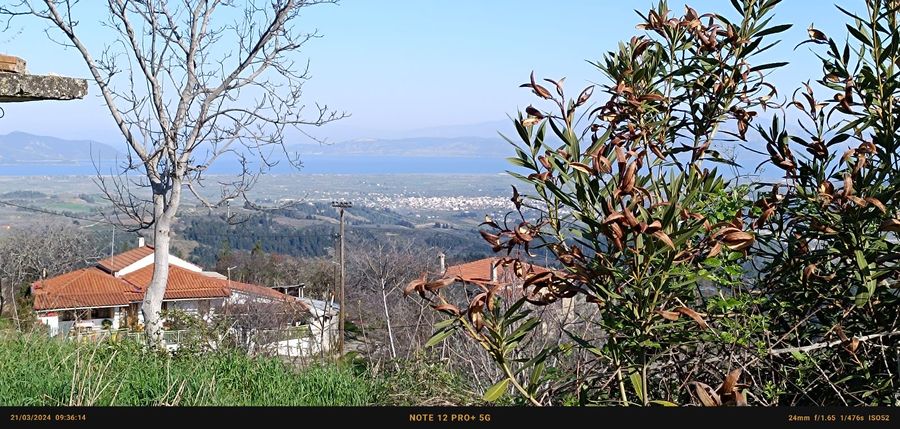 Photo 281930876