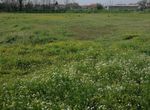 Photo 282726881
