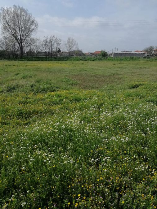 Photo 282726881