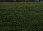 Photo 282726884