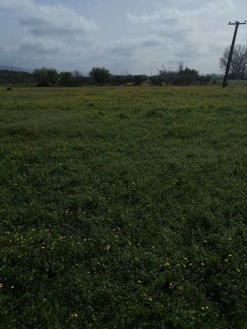 Photo 282726884