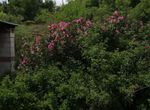 Photo 283070750