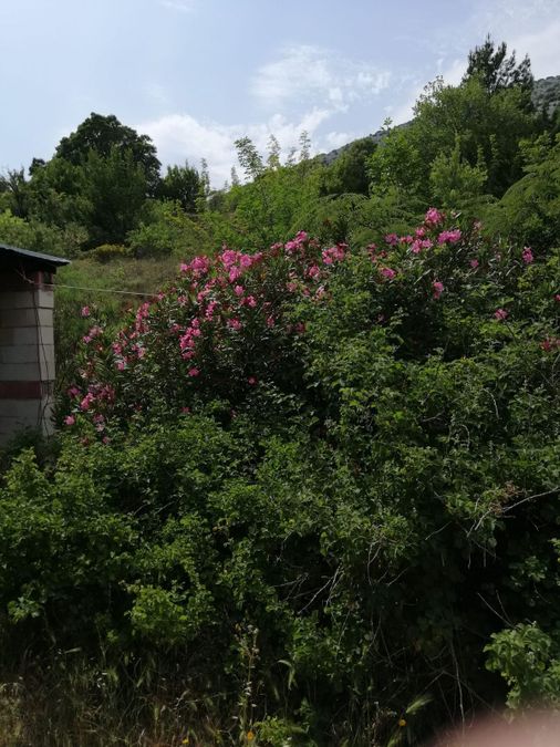Photo 283070750