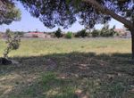 Photo 283720664