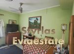 Photo 283818764