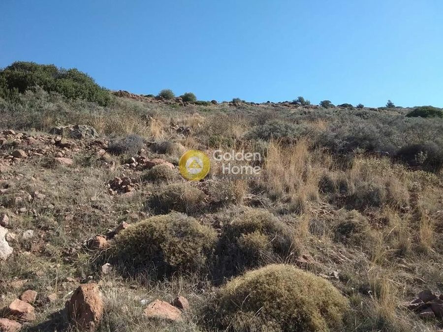 Photo 2,Οικόπεδο, 1024τ.μ.,Αιγηνίτισσα, Αίγινα (Νησιά Αργοσαρωνικού),€160.000