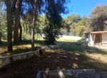 Photo 284626511