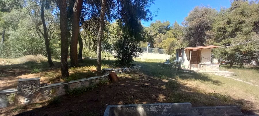 Photo 284626511