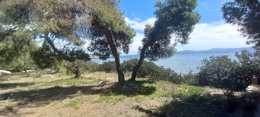 Photo 284627783