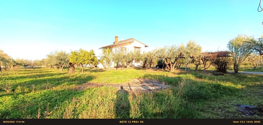 Photo 285232301