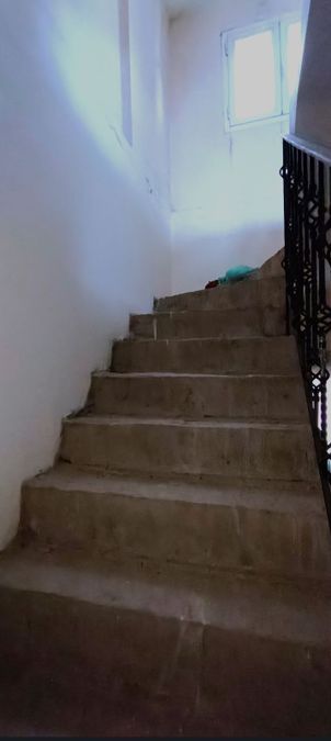 Photo 285406655
