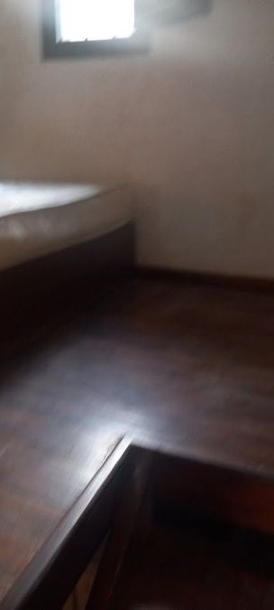 Photo 286275947