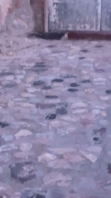 Foto 286372607