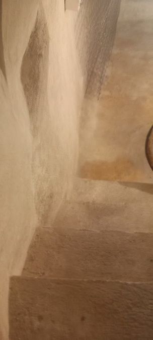 Foto 286372679